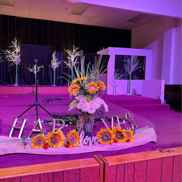 Meet your Posher, Crystal - Picture 1 of 1